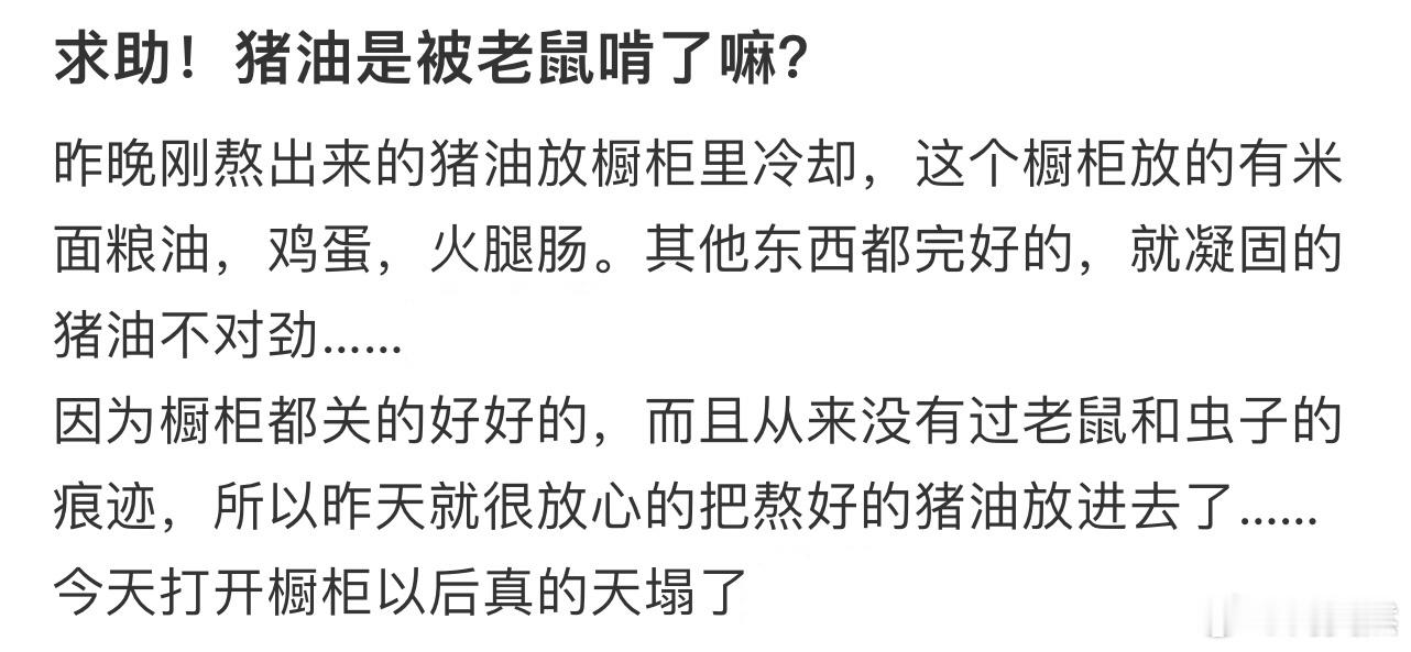 求助！猪油是被老鼠啃了嘛​​​