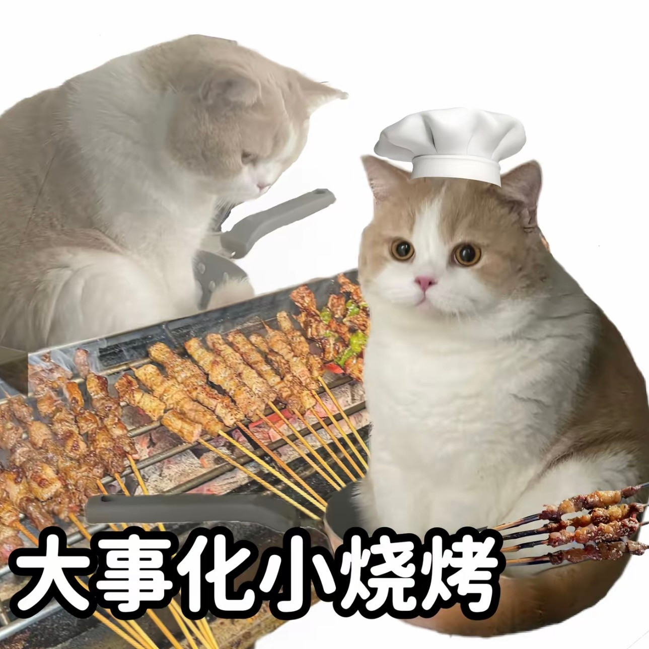 别人是腹有诗书气自华，我是腹有火锅奶茶小烧烤​​​