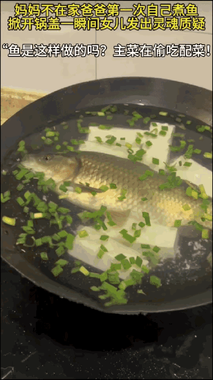 “一个敢问，一个敢答！”浙江，妈妈没在家，爸爸第一次下厨给女儿煮鱼吃，万万没想到