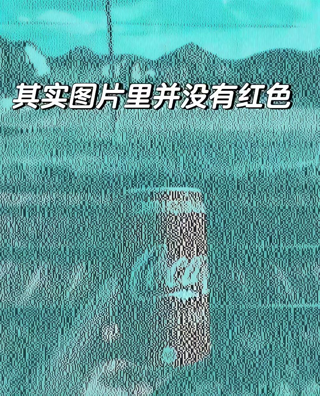 认为有红色的，其实是一个错觉，也是大脑对于记忆的一种补充和反应，其实，只有黑色。