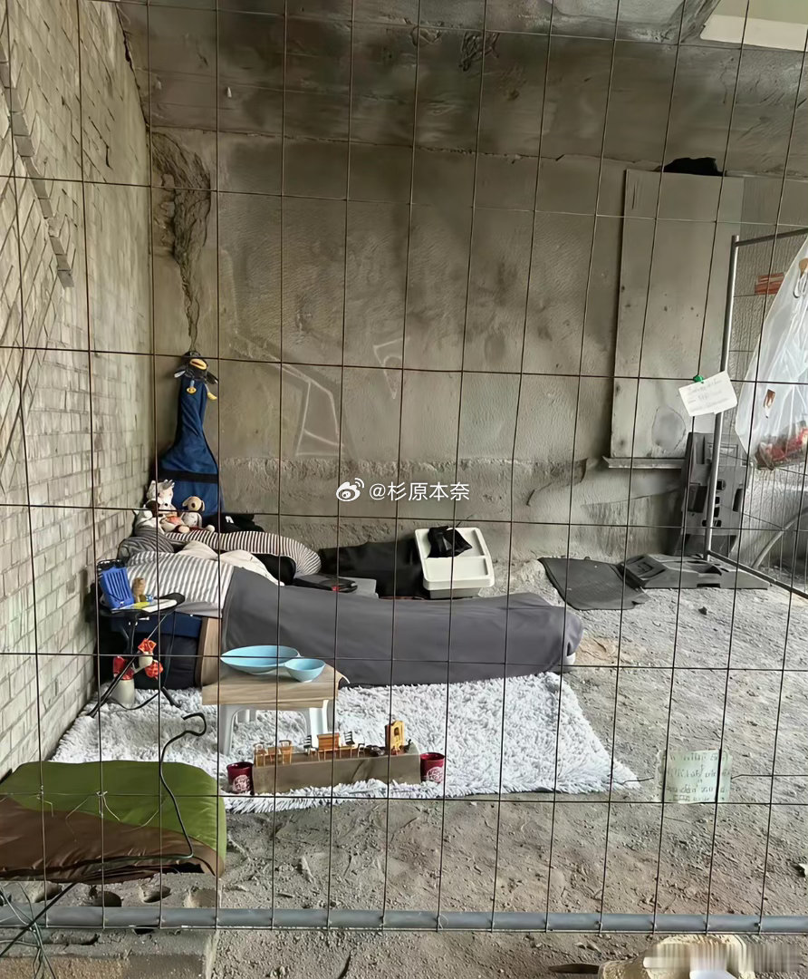 住个桥洞都能住这么精致