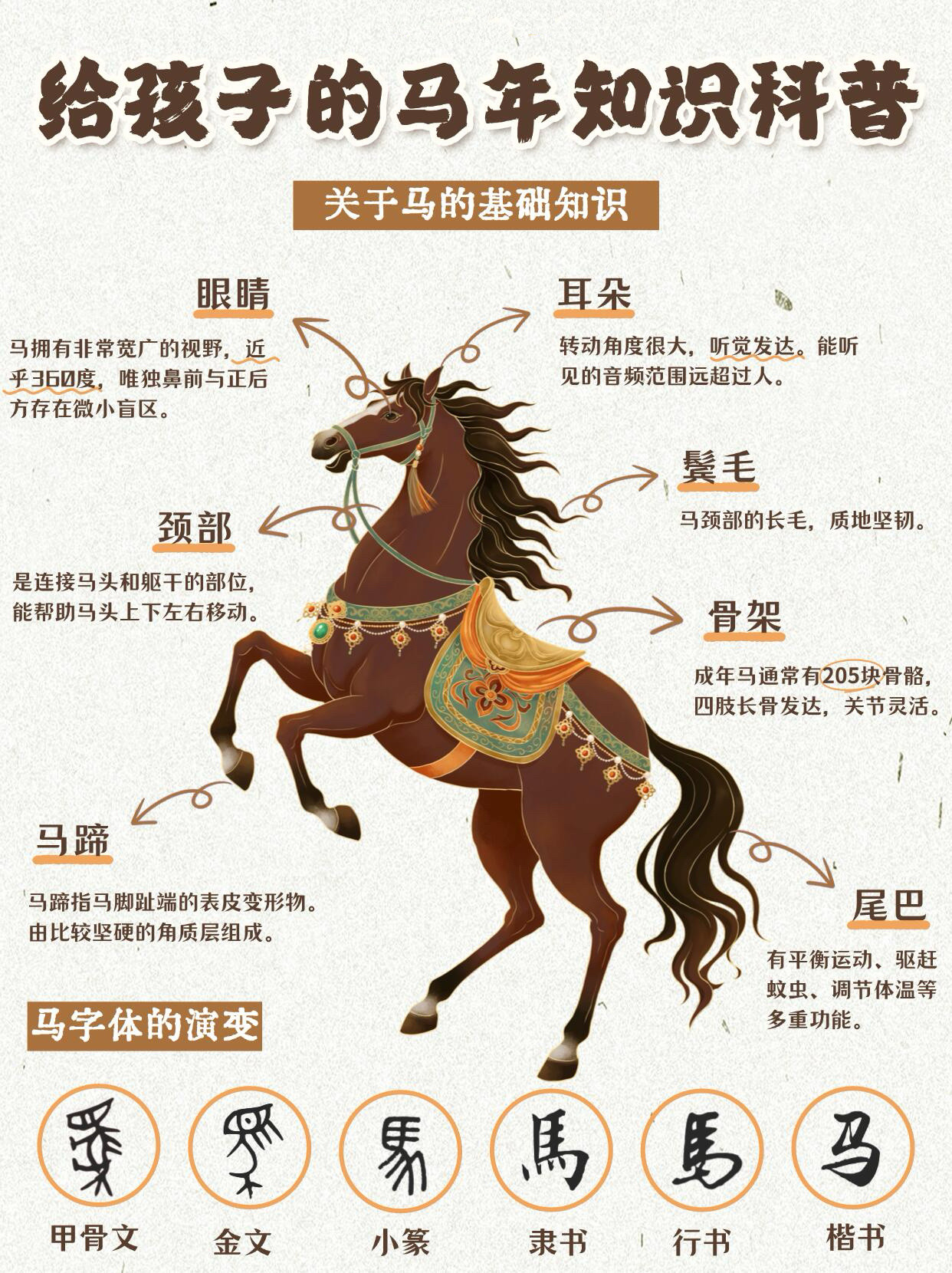 🔥给孩子的马年知识科普🐴马年必看‼️
