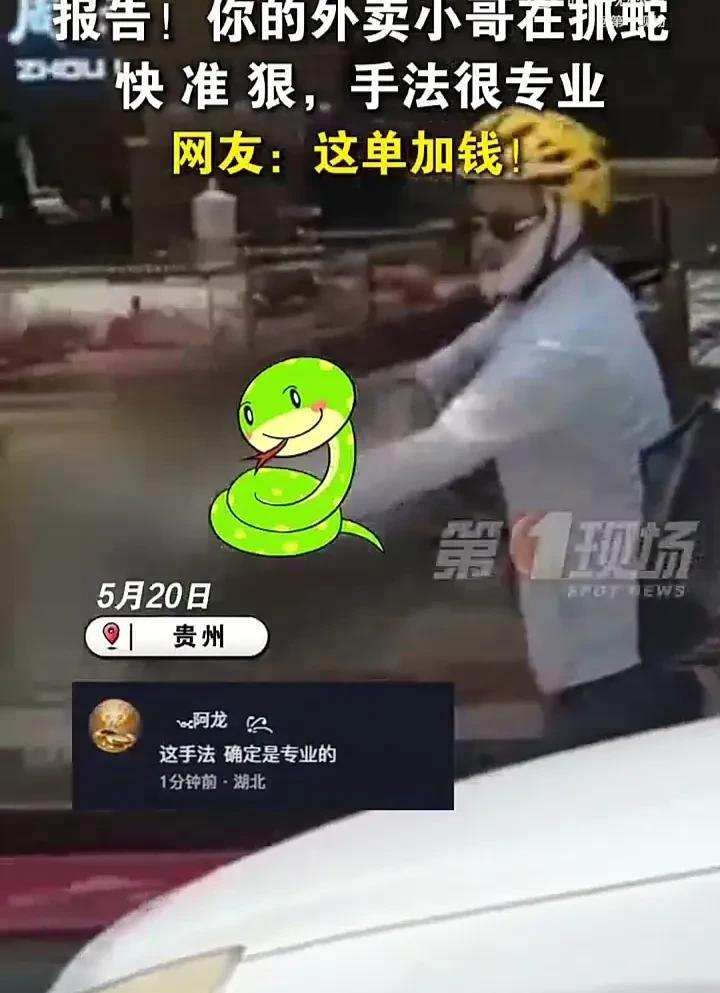 外卖小哥真是无所不能！5月20日，贵州一家店铺门口突然出现一条蛇，周边的路人见状