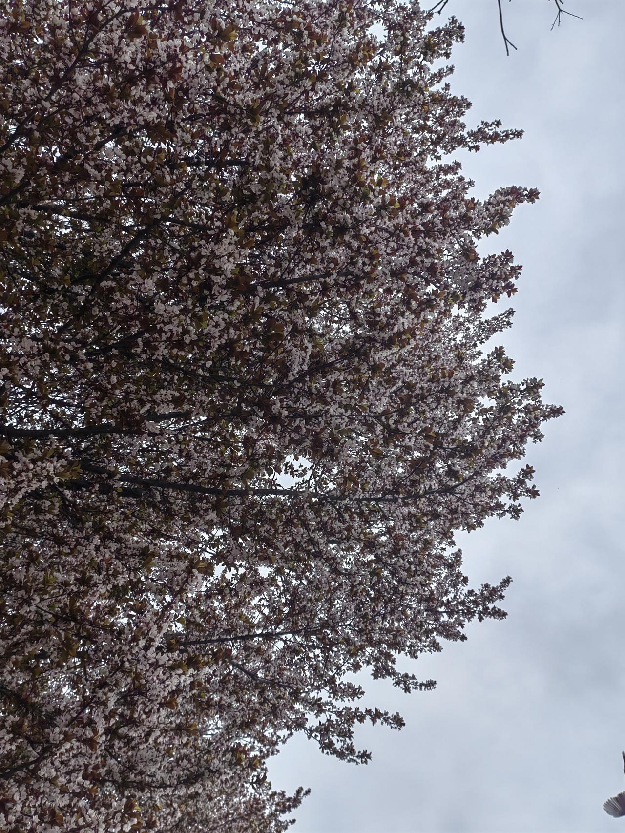 单位准备春游，出发前需要讲几点要求，承担组织的部门负责人讲了四十多分钟，意犹未尽