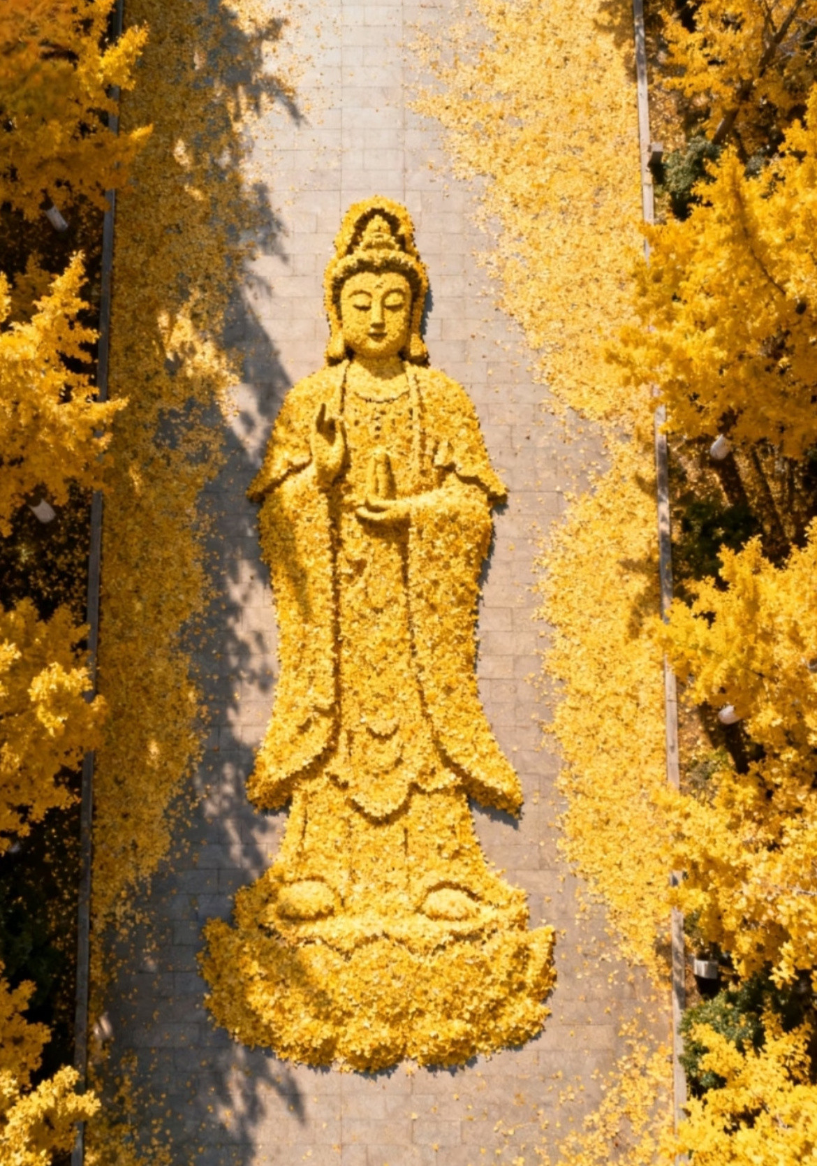 你胆子太大了，菩萨已经对你九十九次弯腰了，你再不接住这份好运，菩萨就真的要离你而