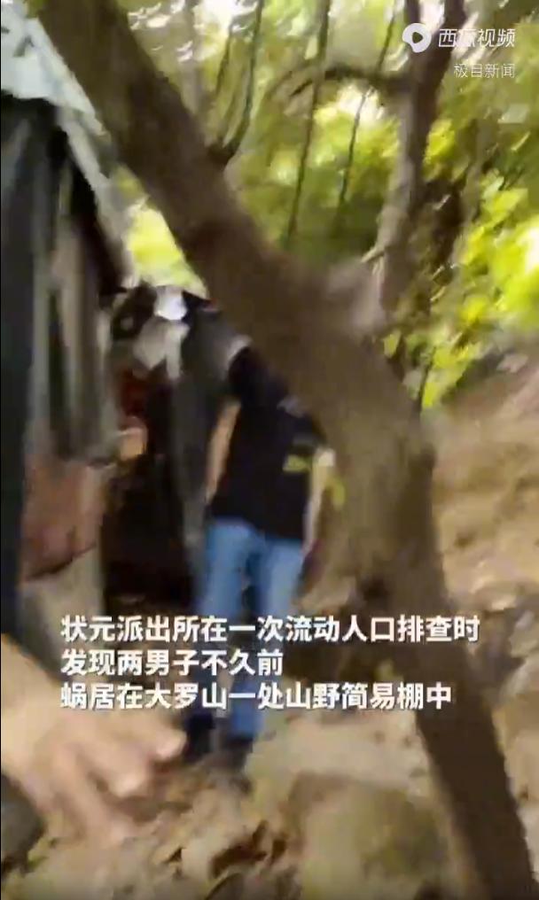 “桃花源记？”浙江温州，民警在山林中巡逻的时候，发现大山里竟然有一间棚屋，几个中