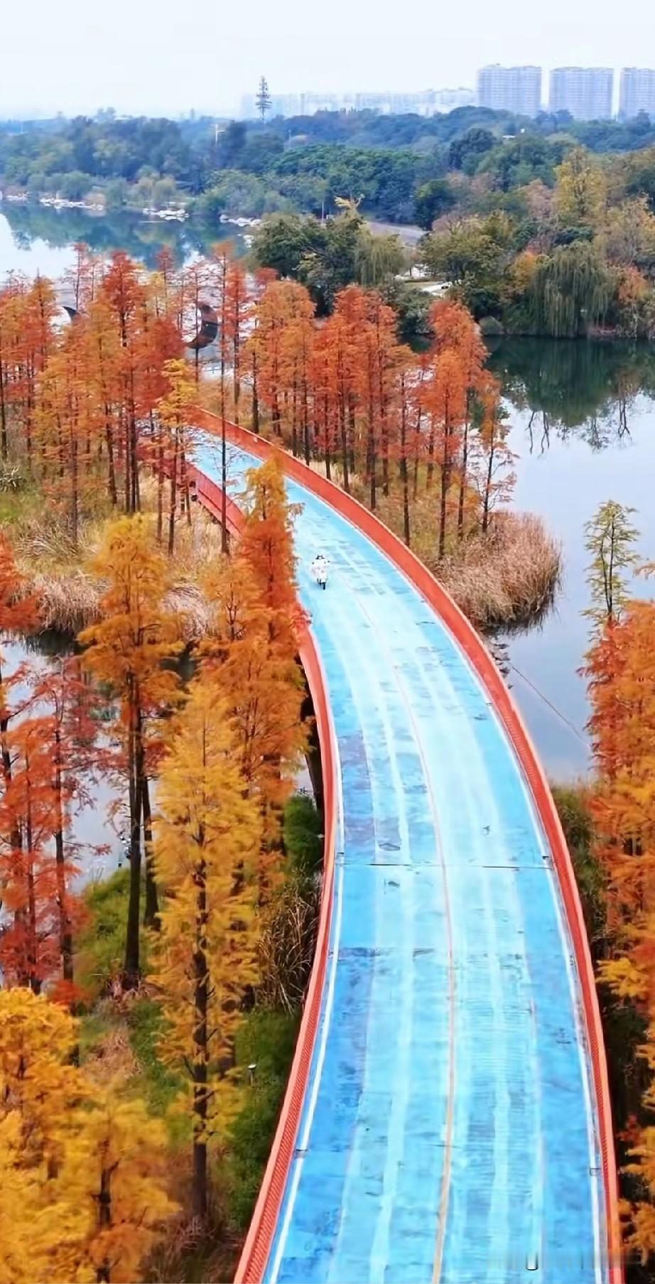 成都的秋天有多美？废话不多说，几张航拍截图分分钟让人神往，成都真的是来了就不想离