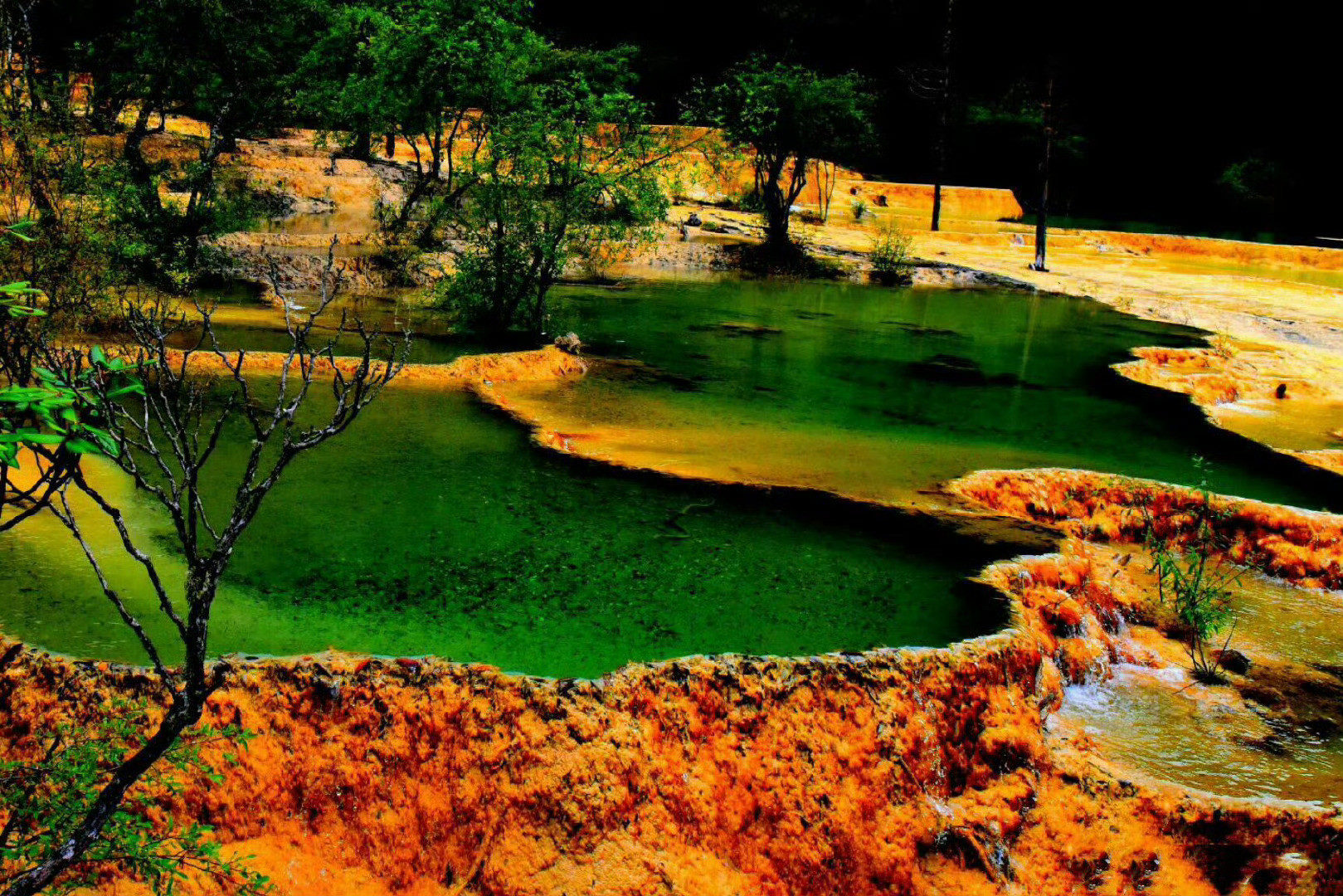 人间瑶池·黄龙，以彩池，雪山，峡谷，森林“四绝”著称于世。