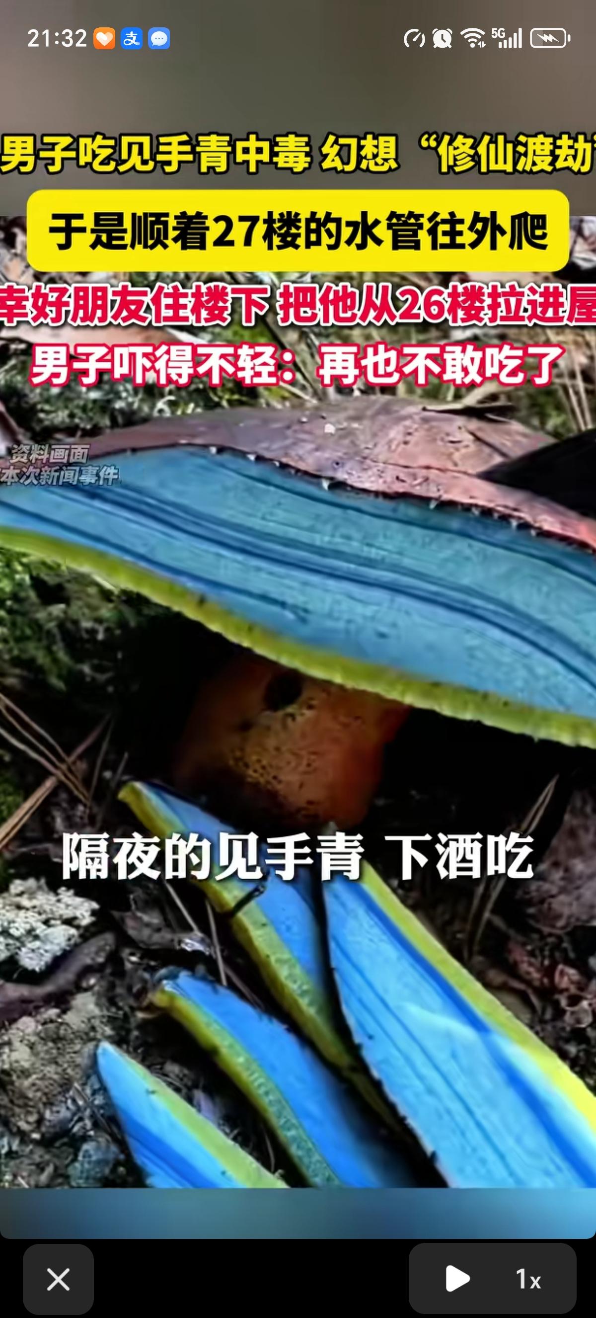 云南男子把隔夜的见手青当下酒菜配着白酒一起吃了后，以为自己要“修仙渡劫”。他从2