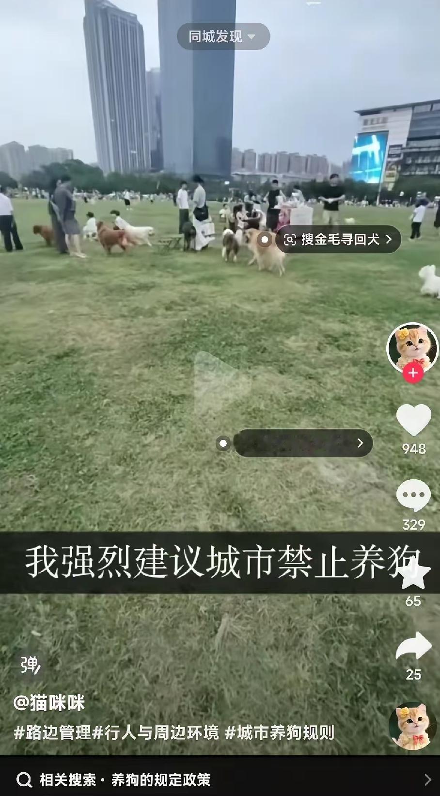 成都温江光华大道的市政大草坪，近期在网上引发巨大争议。有网友实拍周末现场，开阔的