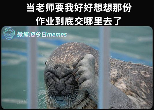 豹欠今日meme今日memes​​​