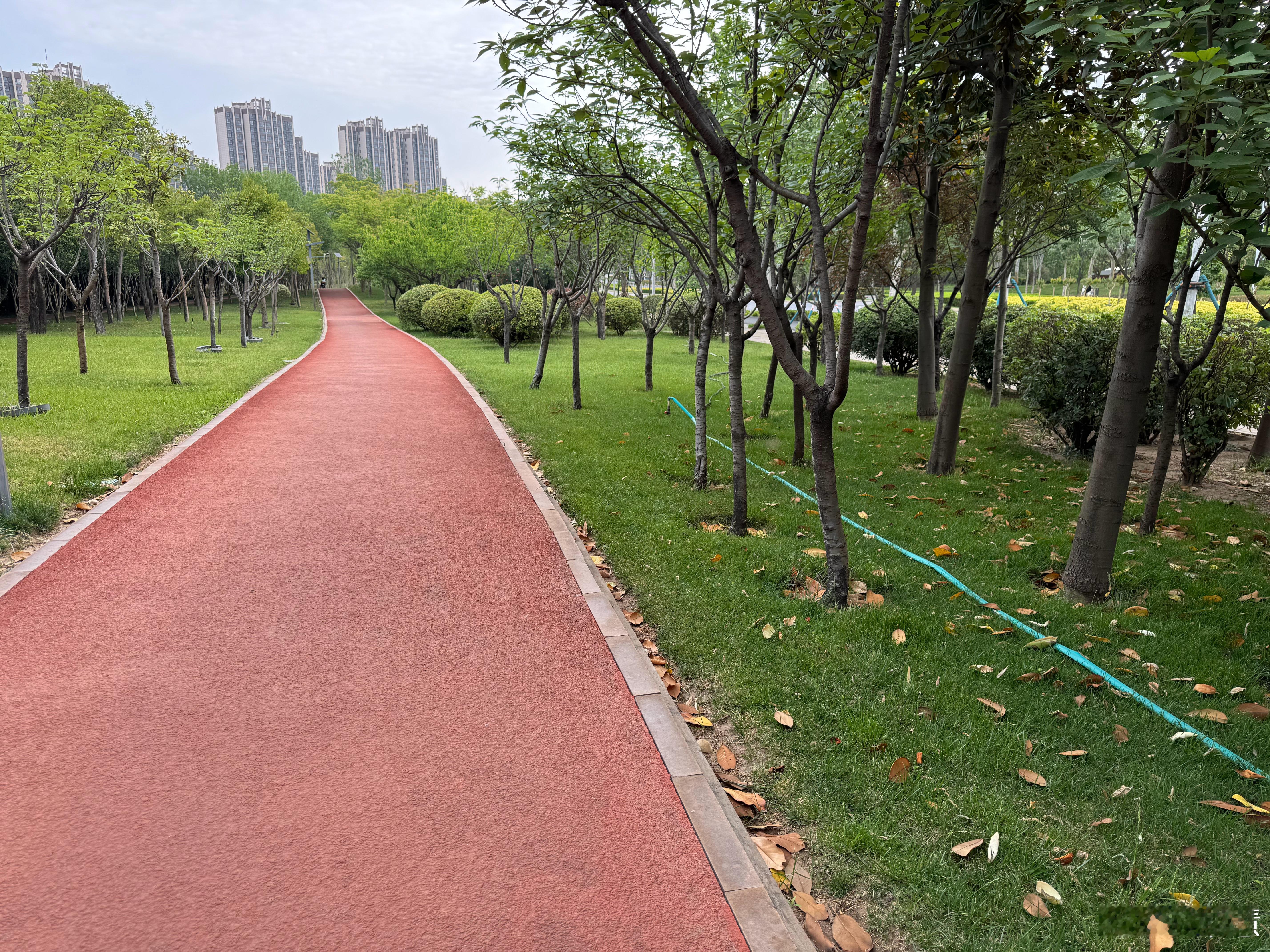 跑步坚持运动打卡今晨，我完成了5000米的跑步挑战，平均配速7:50，心率稳定在