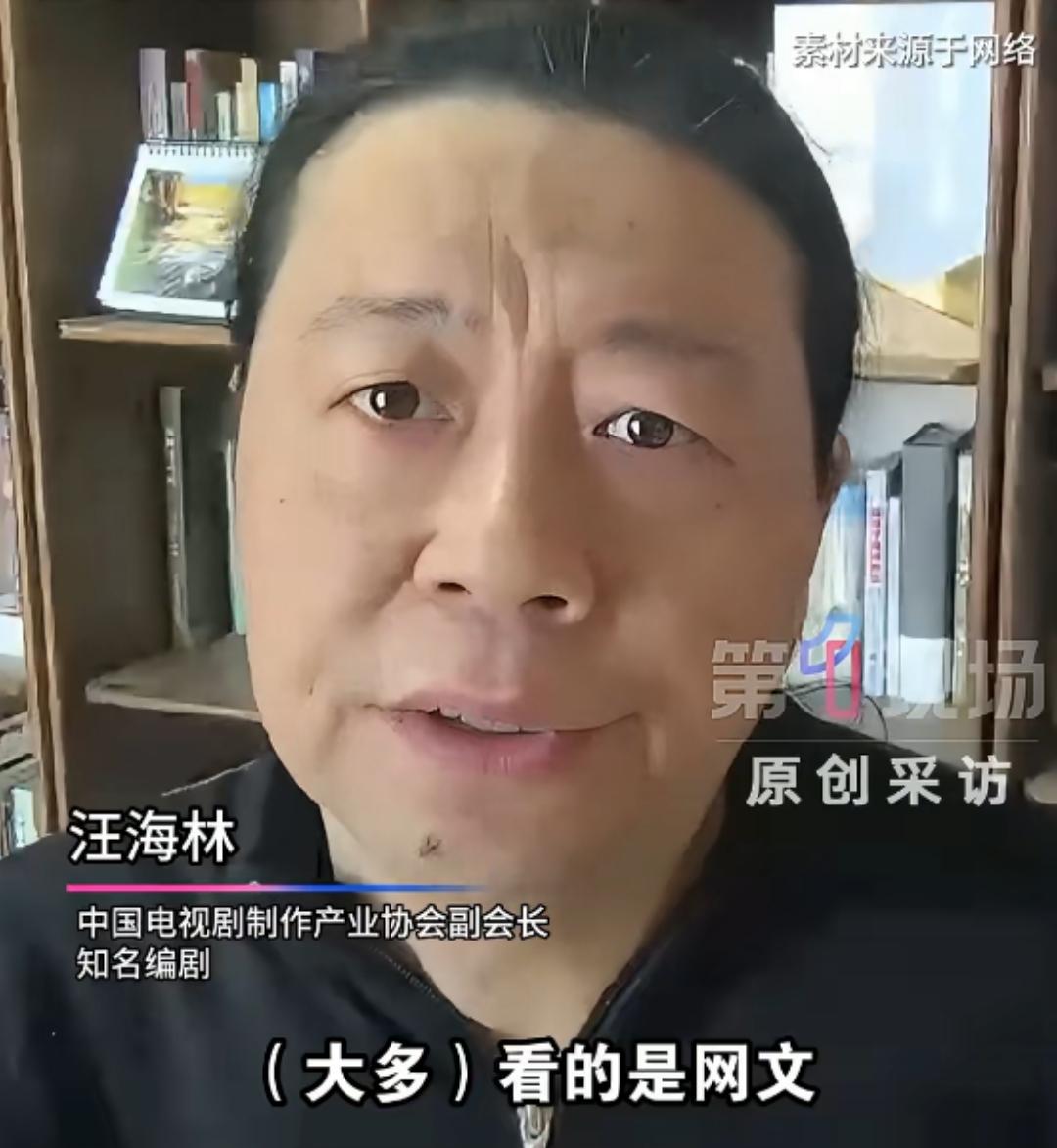 汪海林谈“粉底液将军”，年轻人看太多网文现在的文化环境就是这样，所以很多人不