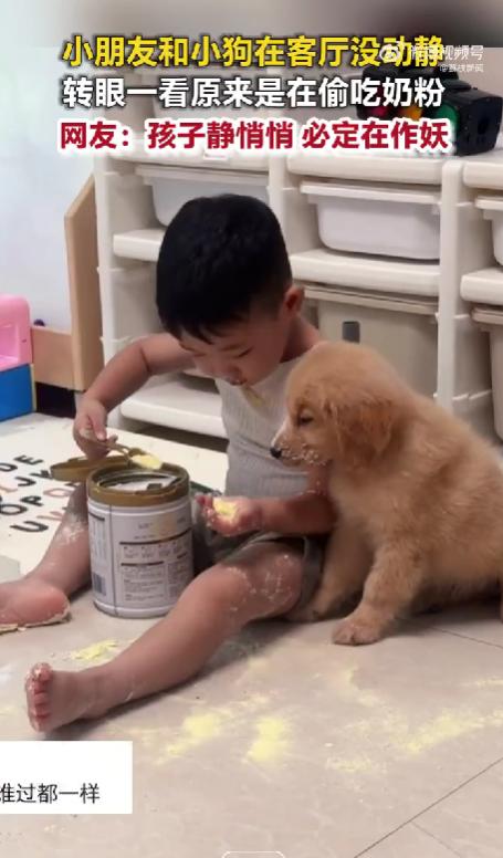 萌娃偷吃奶粉不忘投喂小狗带娃的家长应该都听过一句老话，孩子静悄悄，必定在作妖