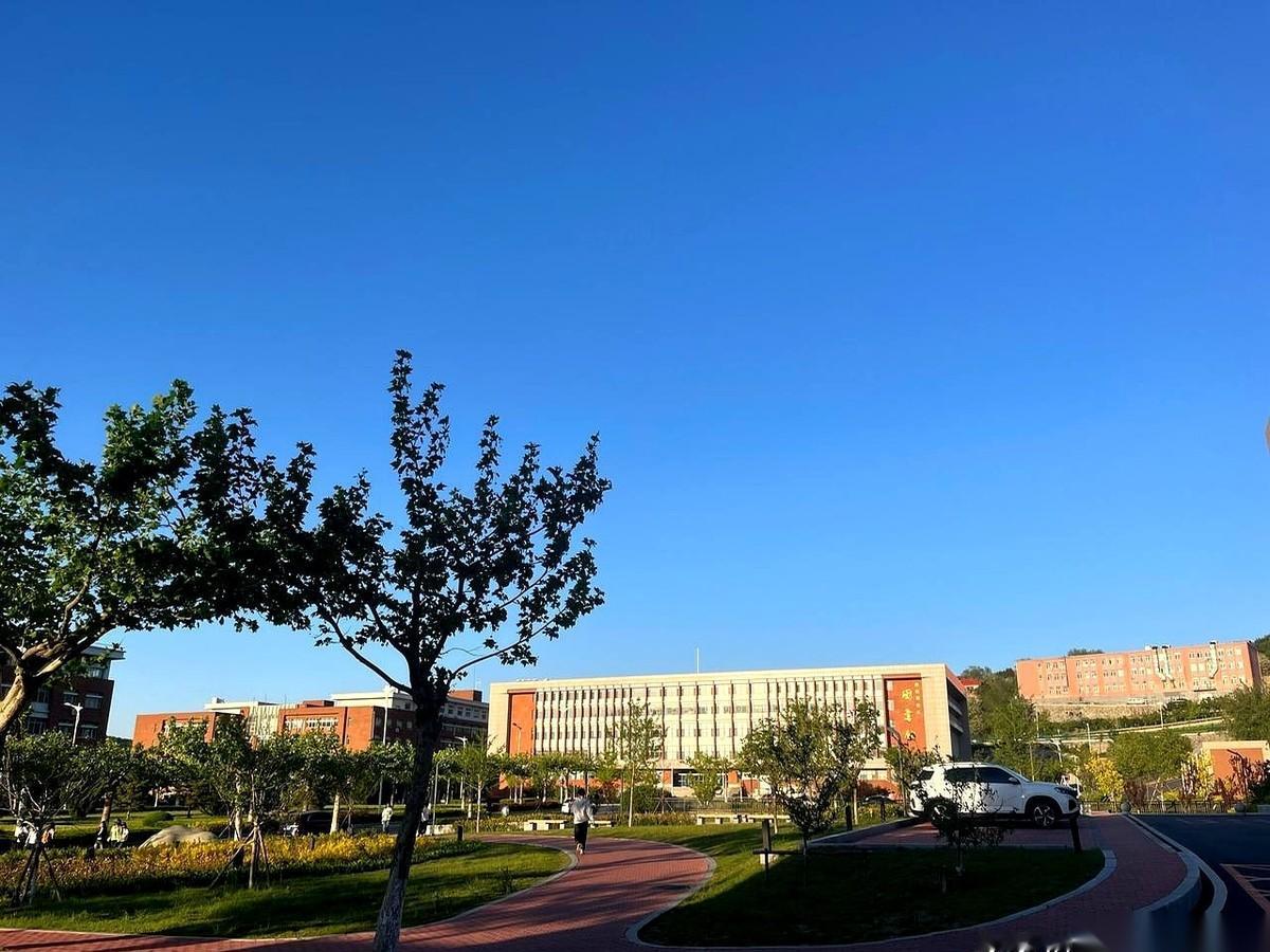 真的，别再去钻研什么“高情商套路”了。我当辅导员那几年，见惯了削尖脑袋拼命表现