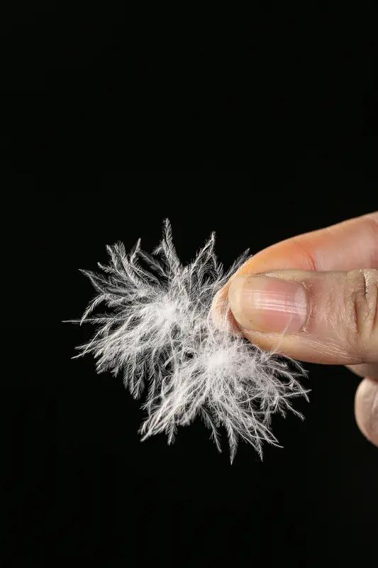 媒体：买件货真价实羽绒服不该这么难买件货真价实的羽绒服，真成了难题。知名品牌羽