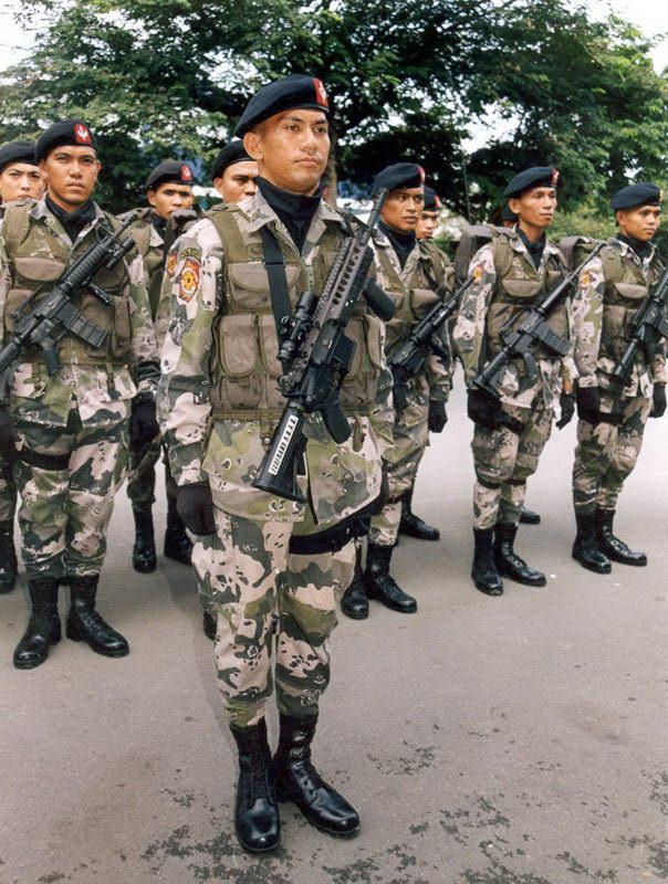 菲律宾国产S.O.A.R.步枪（特种行动突击步枪），特点是采用ARMS公司的SI