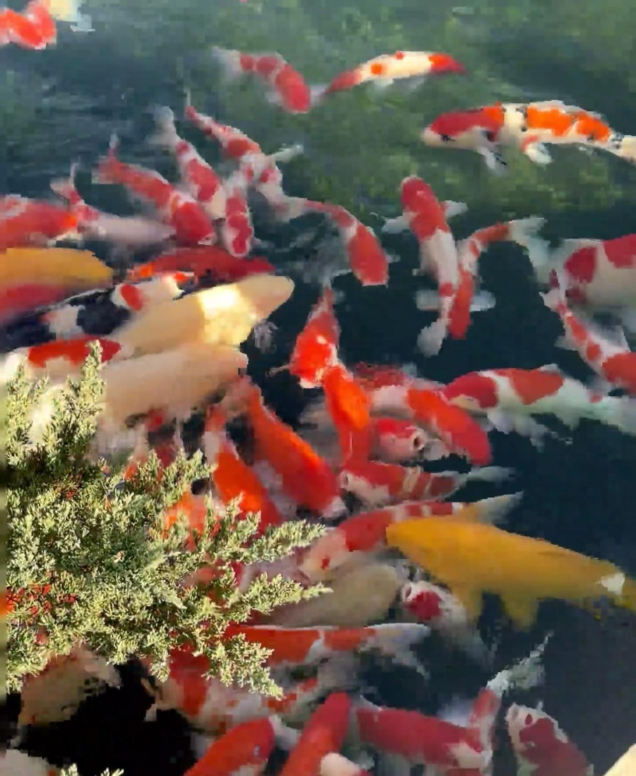 找保姆真是场硬仗。原保姆受伤做不了，今天从早到晚，电话打了十几个，人见了五六个。