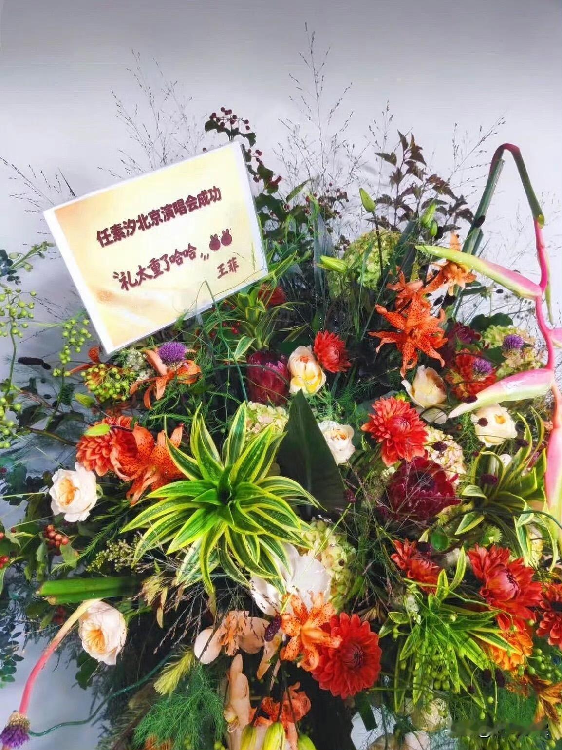 一向高冷的天后王菲，近日因一个花篮意外露出私下可爱的一面。8月8日任素汐北京