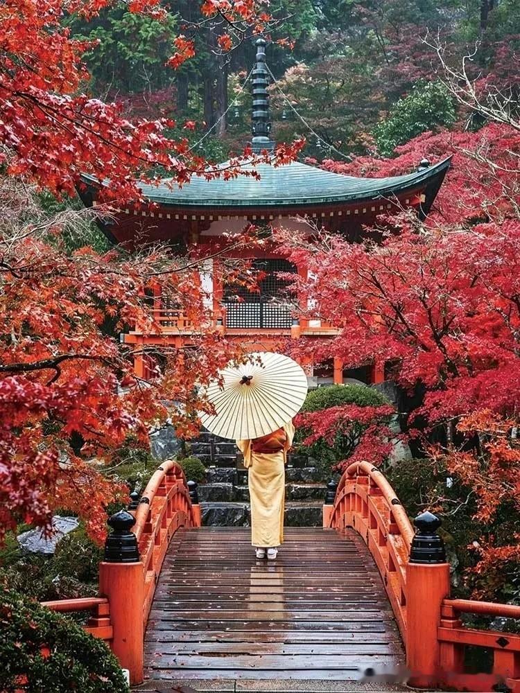 人活到一定年纪会明白很多东西是多余的，这种清醒的认知能力本质上是人生阅历、身体变