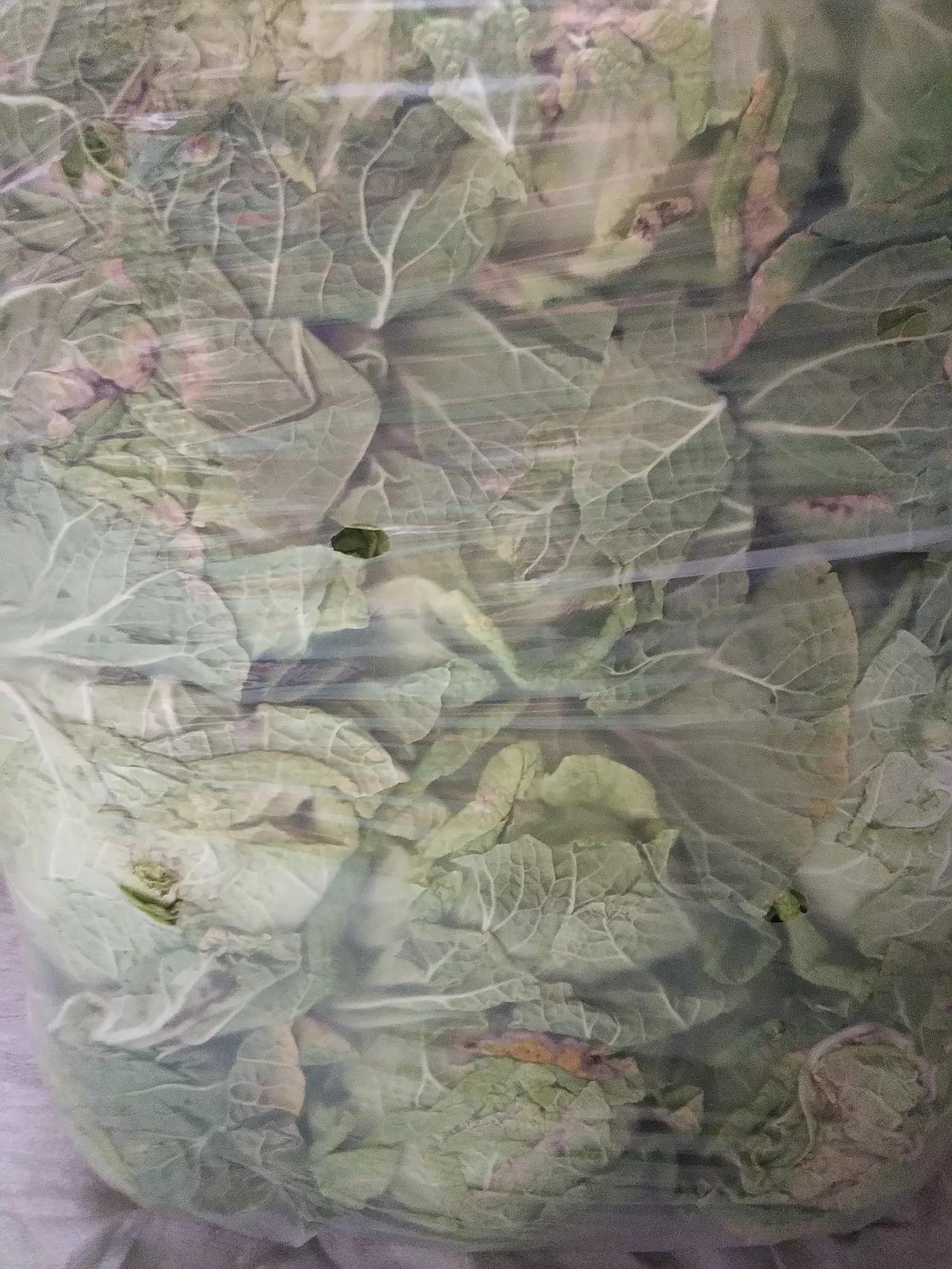 今天去亲戚家，在农村集市上，看见卖白菜的，买了一包，看的挺新鲜，咱晚看电视石家庄