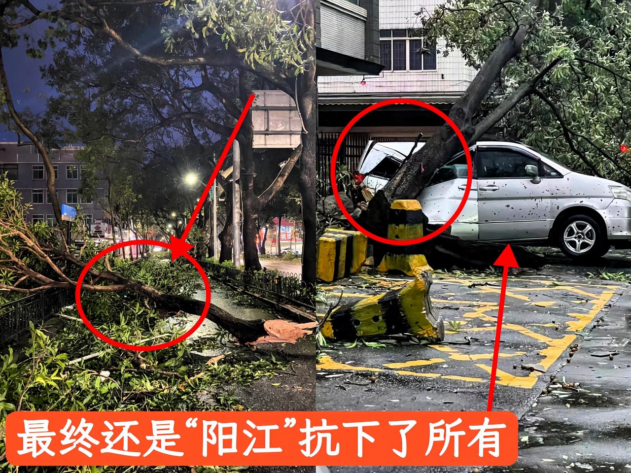 这次超级台风，阳江损失非常惨重。9月24日下午，从16点到17点之间，风力达到