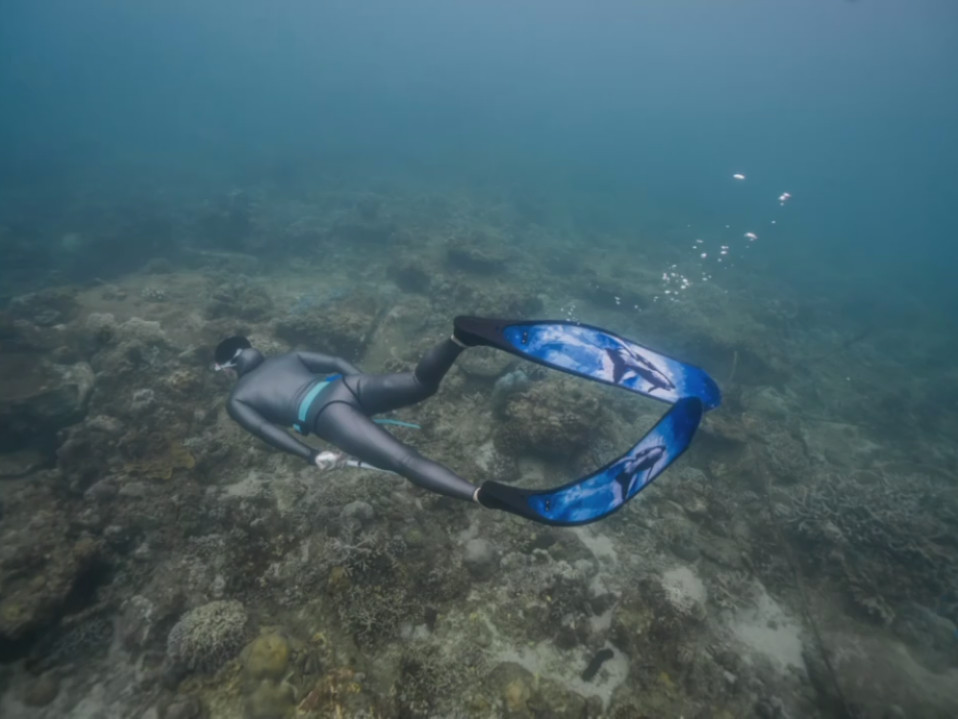 黄景瑜︱第一次潜水︱截修动图20200606潜水教练发的vlog一些喜欢的镜头美