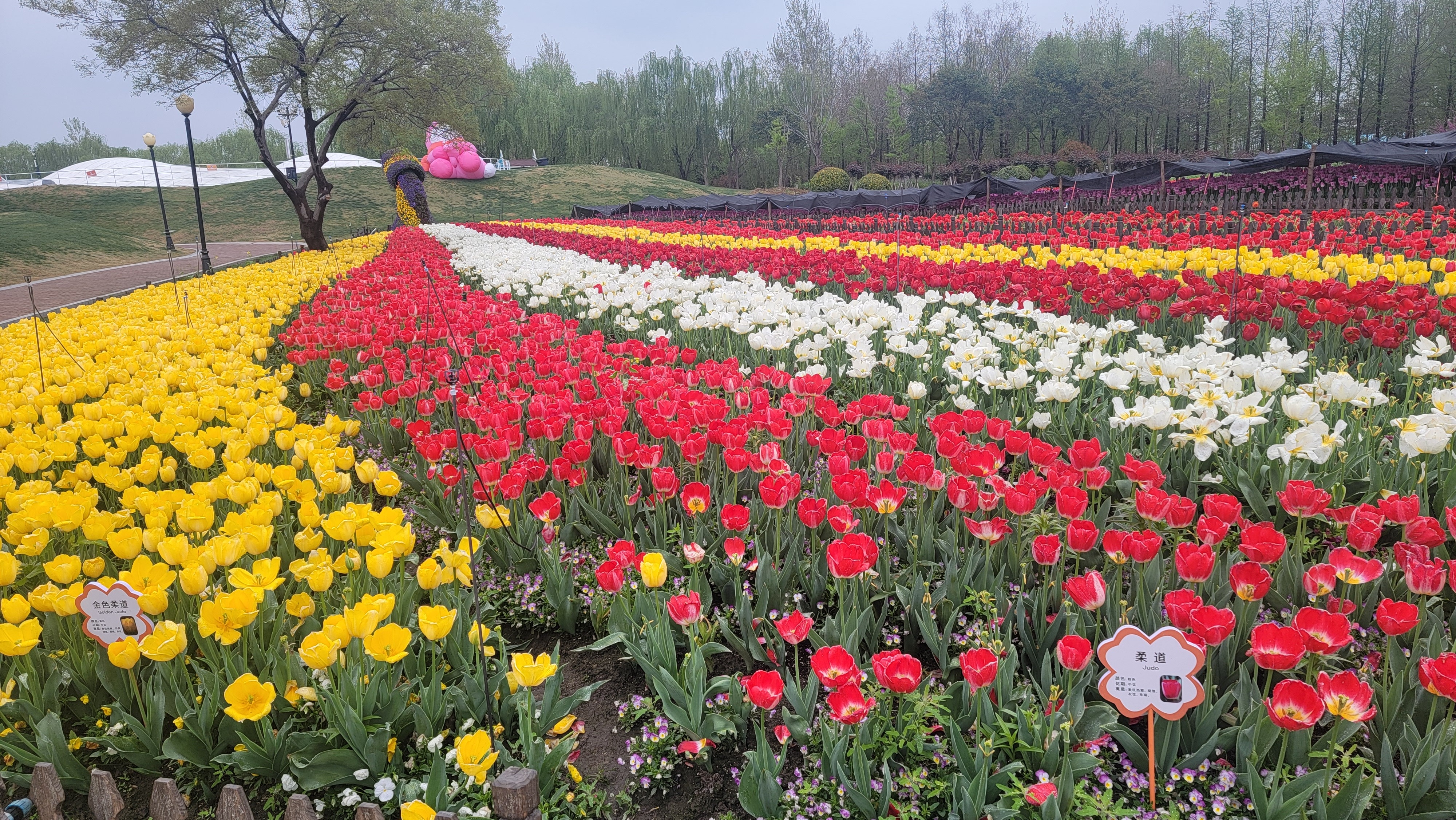 身体出现这5种“干”，——就是五脏津液大亏！教你用对经典方，从根上润，比喝