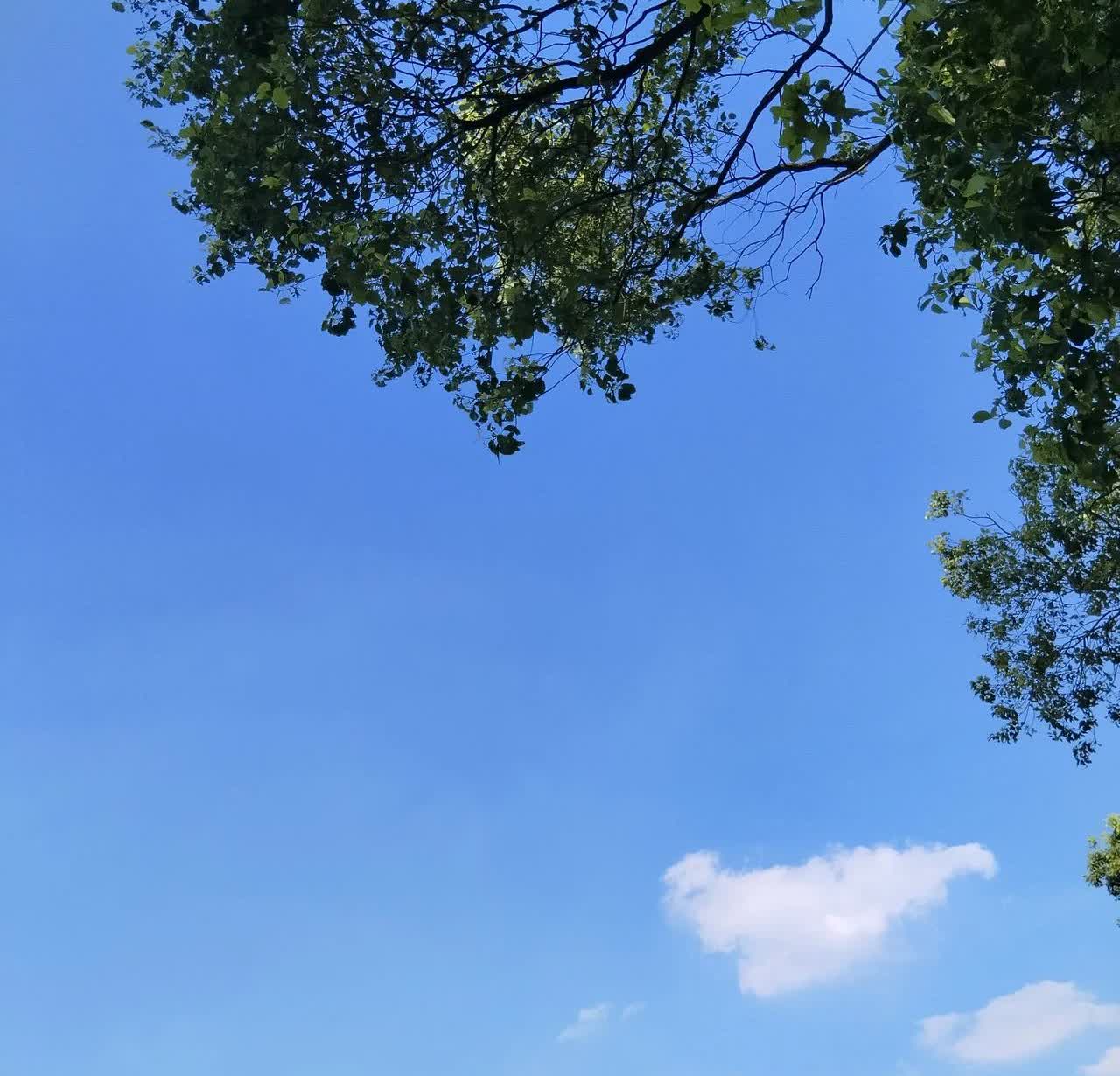 刚看到一个视频，一女子的孩子上完补习班回来说，班上的同学聊天内容真的是炸裂。