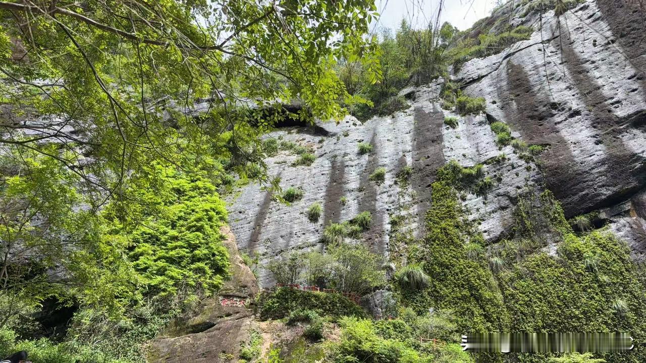 谁家老婆婆会对儿媳妇天天念叨，谁家的老公打媳妇了，谁家媳妇被老公都打住院了，就这