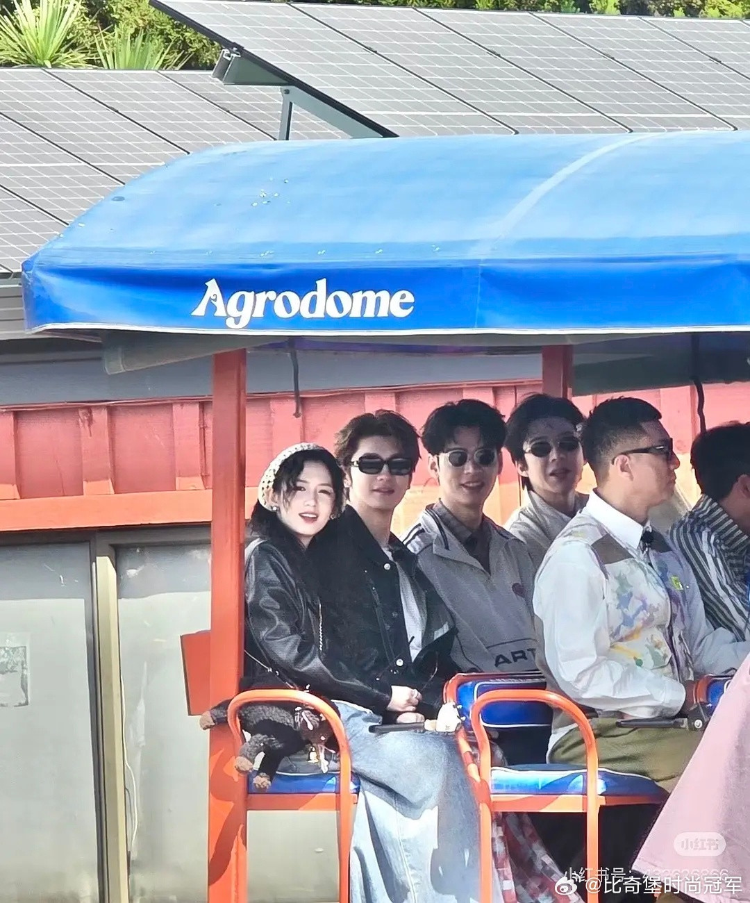 我觉得林一鼻子大是因为是因为他的脸不够长，视觉比例上就会觉得鼻子相对明显了。