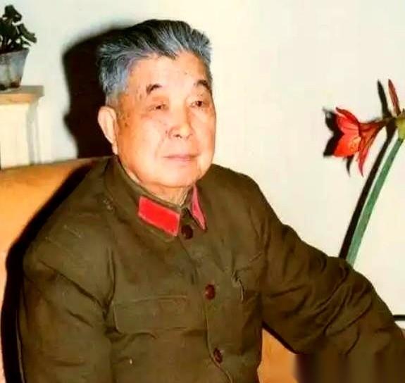 将军回来了。车停在福建老家门口，他带着新夫人，衣锦还乡。推开门，老母亲在。院子