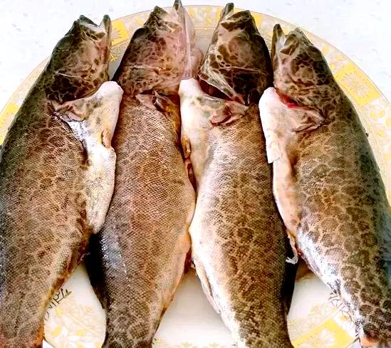 10道东北最美味的河鲜1清炖鳌花鱼2蝲蛄豆腐3酱焖花泥鳅4家焖山胖头