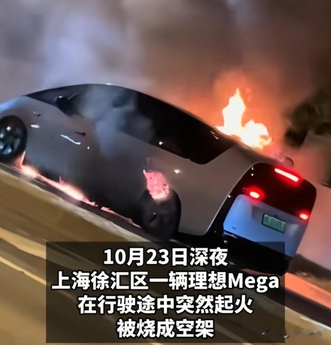 第一次见到这么硬的车主，一大堆水军抹黑理想车主说车有问题不去修，理想车主选择硬钢