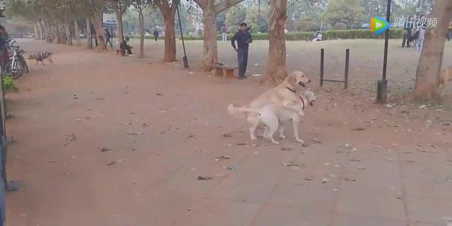 7066890276054690230.jpeg?id=0