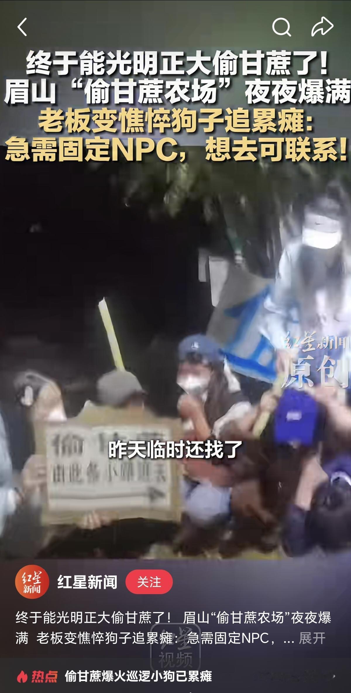 这个世界也太颠了吧，事实证明物质富余了之后，人们开始变得疯狂。不过老板也