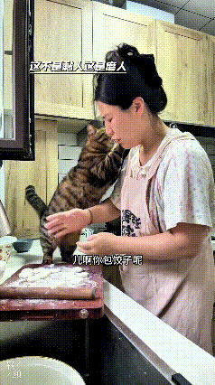 这个视频我看了好几遍，真是越看越觉得好笑。你看女主人正搁厨房忙着包饺子，手里还忙