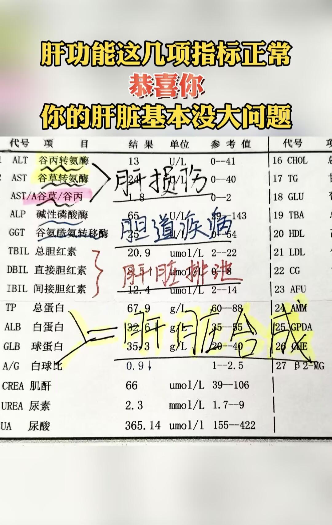 经常有患者问我，说肝功能到底怎么看，这些上上下下的“箭头”又是什么意思...
