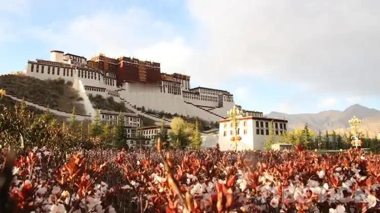 很多人疑惑，西藏人口直到今天也没超过500万，为何却能在7世纪时建造如此庞大的布