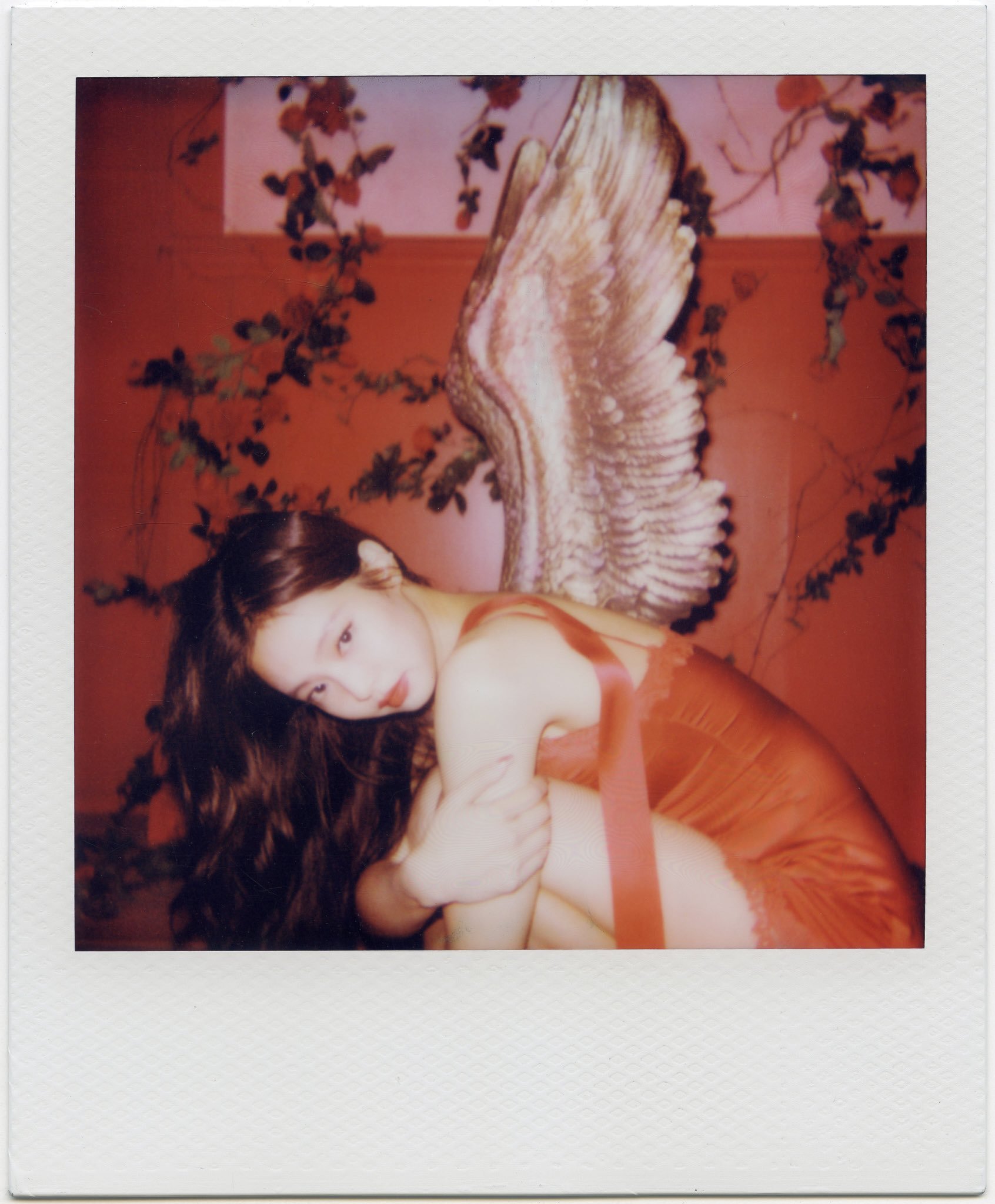 Jennieins更新