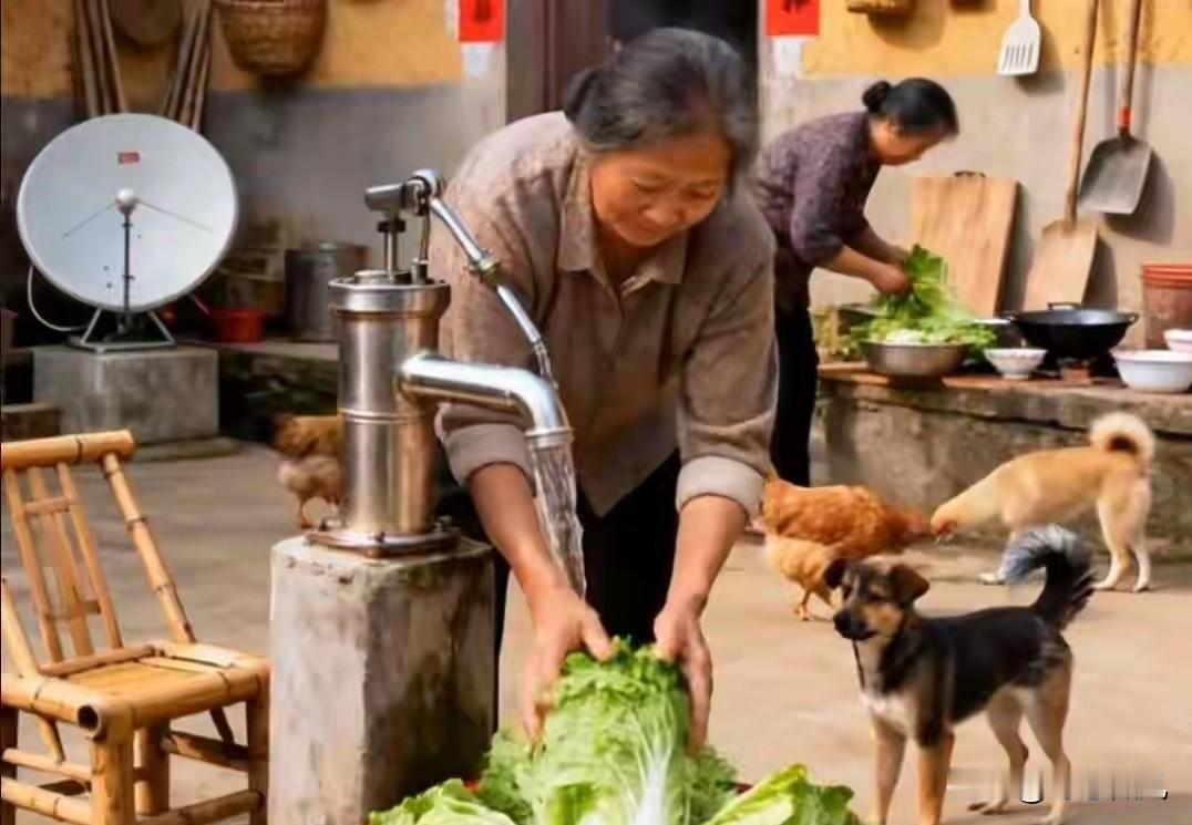 人老了，就剩一个人？按我说的做，绝对没错身边不少老年人晚年孤身生活，伴侣离