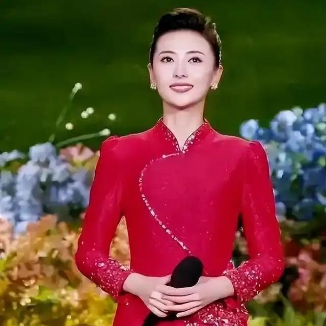 我最喜欢的央视主持人是张舒越、王音棋、郑子可，她们个个才貌双全，颜值出众。她