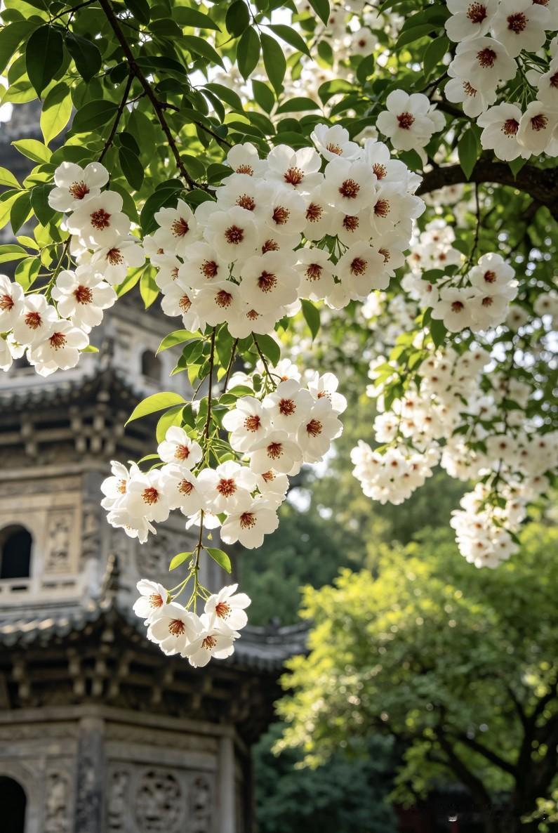荣格说：“种子破土发芽前，没有任何迹象，是因为没到那个时间点。只有自己，才是自己