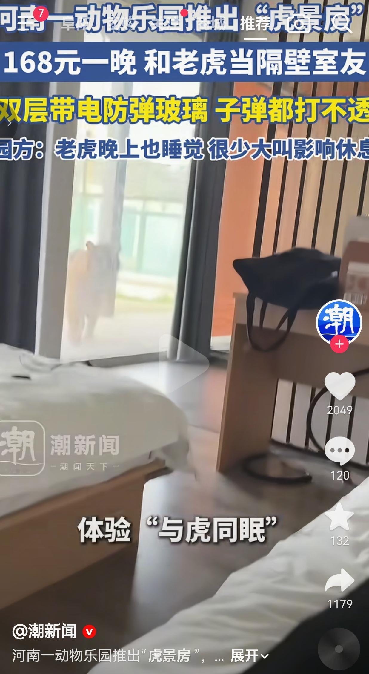 168元住“虎景房”和老虎当室友？睁眼看见大老虎溜达，我真的慌了！河南沁阳的