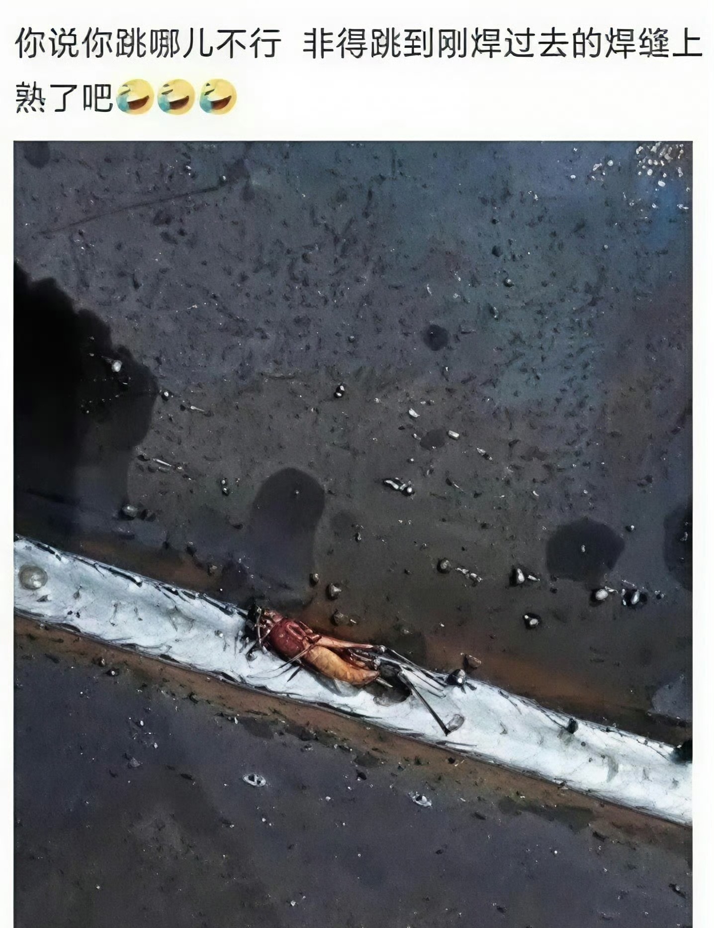 网友：这简直太痛了吧！