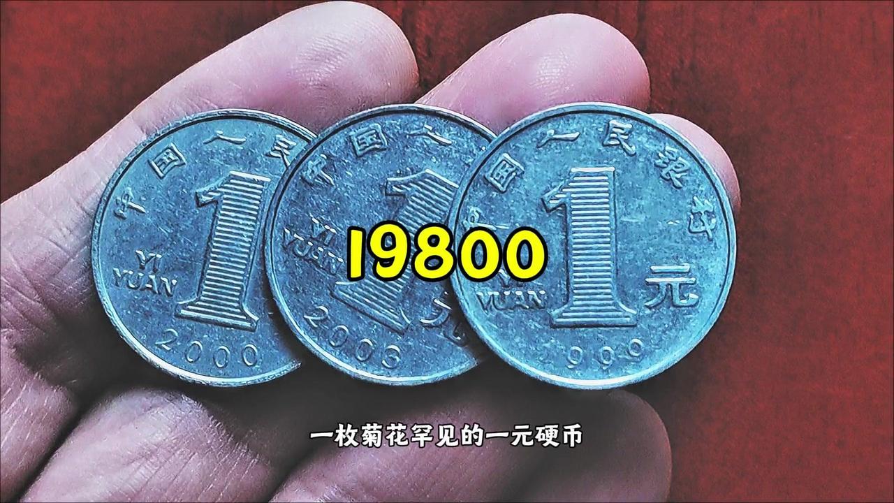 大菊花一元硬币已停止发行，具有一定收藏价值。重点关注2003年龙头币、2000年
