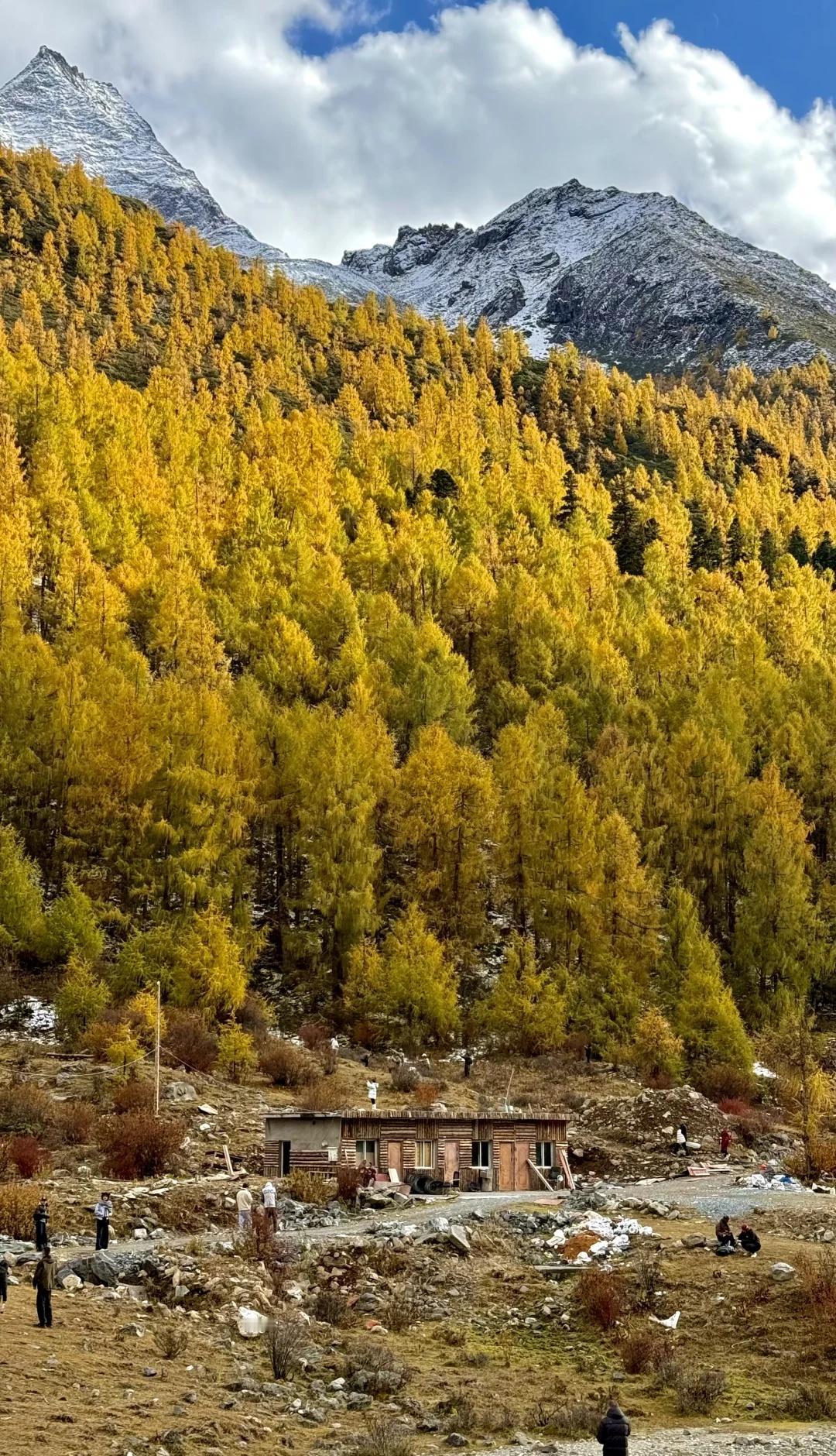 10.25理小路大二普川西的秋天太美啦！彩林➕晴天🟰绝杀[爱心]比起夏