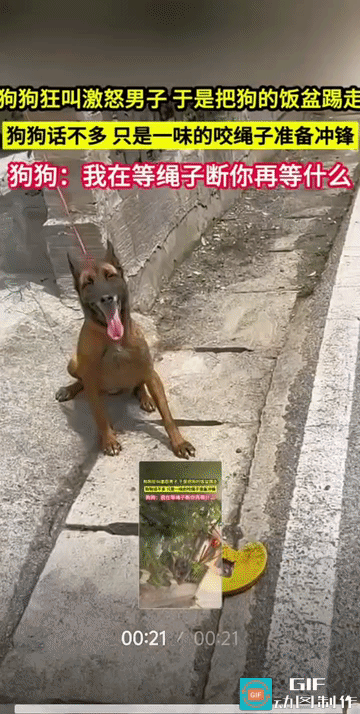 人是狠人，狗也是狠狗，它是含着眼泪把绳子咬断的。砸人家饭碗，搁谁谁也急。后边