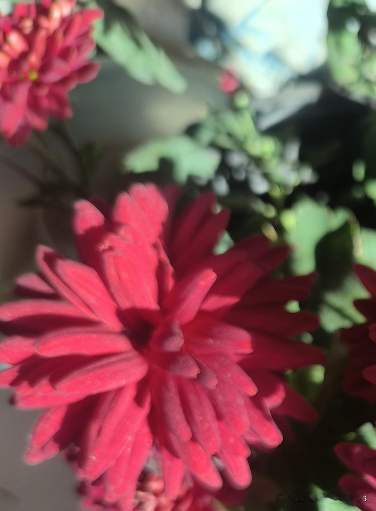 取款5万不查了！当初的“铁规”为何低头？新规出来，取消个人取现5万登记，