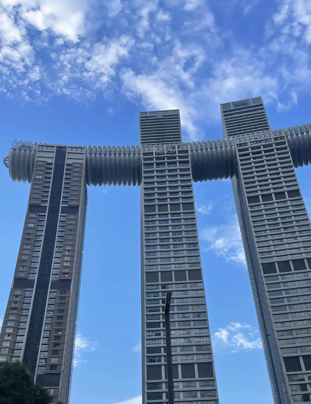 电商把零售商“杀光”了？这话只说对了一半。钟睒睒这番话，戳中了很多实体商家的